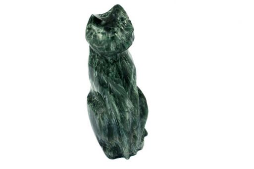 Кошка из Клинохлора
